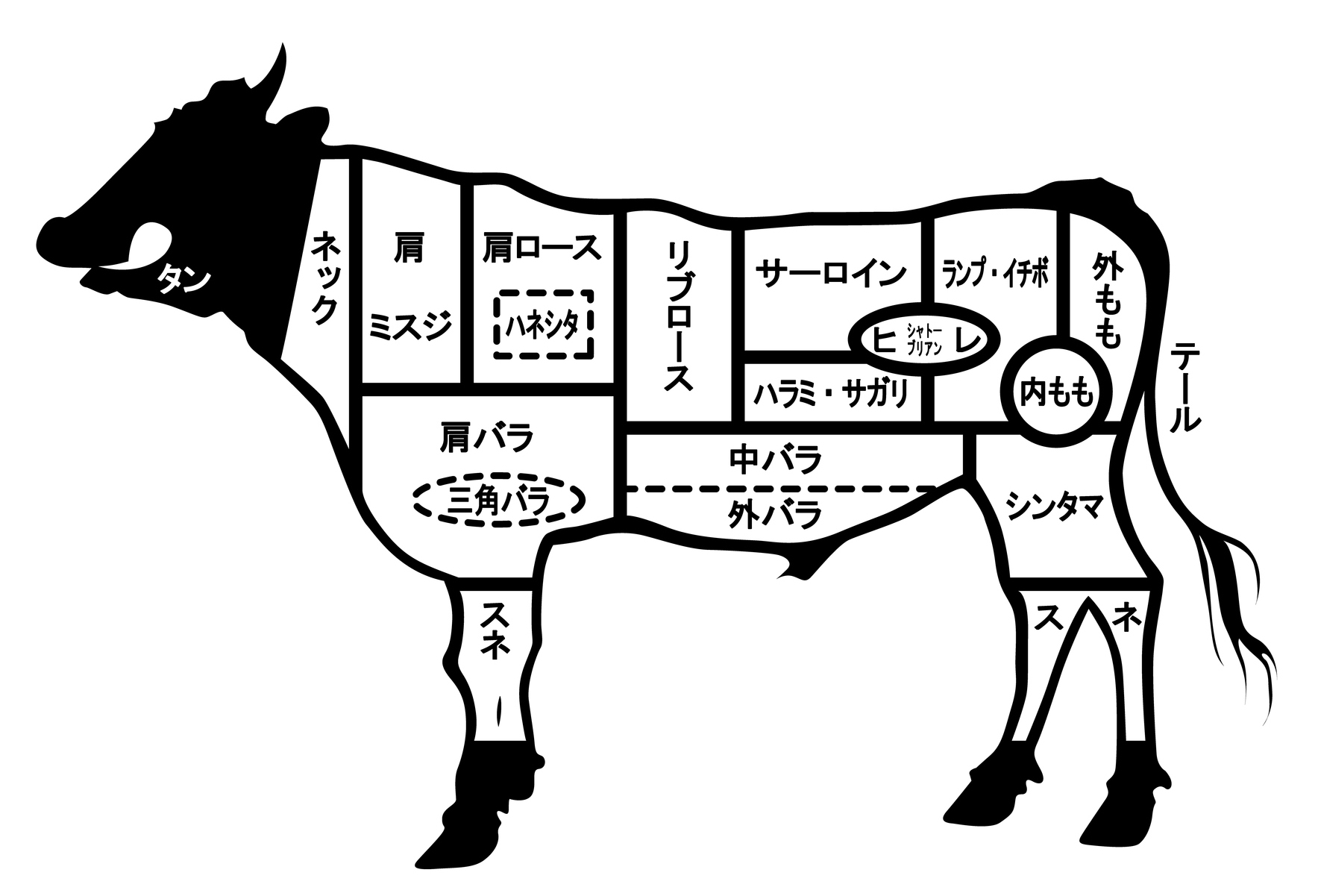 肉の部位 焼肉うしまる 富山市のa4 A5ランク1枚売り焼肉専門店